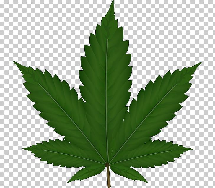 Cannabis Sativa Graphics PNG, Clipart, Cannabis, Cannabis Sativa, Cannabis Smoking, Cartoon, Drawing Free PNG Download