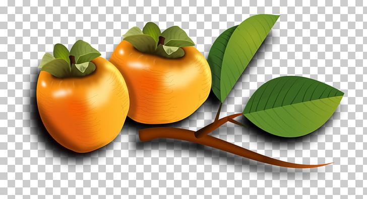 Japanese Persimmon Portable Network Graphics Vegetarian Cuisine Fruit PNG, Clipart, Common Persimmon, Diet Food, Diospyros, Ebony Trees And Persimmons, Food Free PNG Download