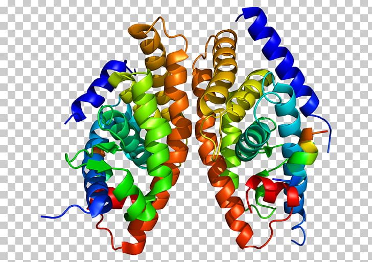 Liver X Receptor Alpha Nuclear Receptor Retinoid X Receptor PNG, Clipart, Agonist, Animal Figure, Food, Gene, Glucocorticoid Receptor Free PNG Download