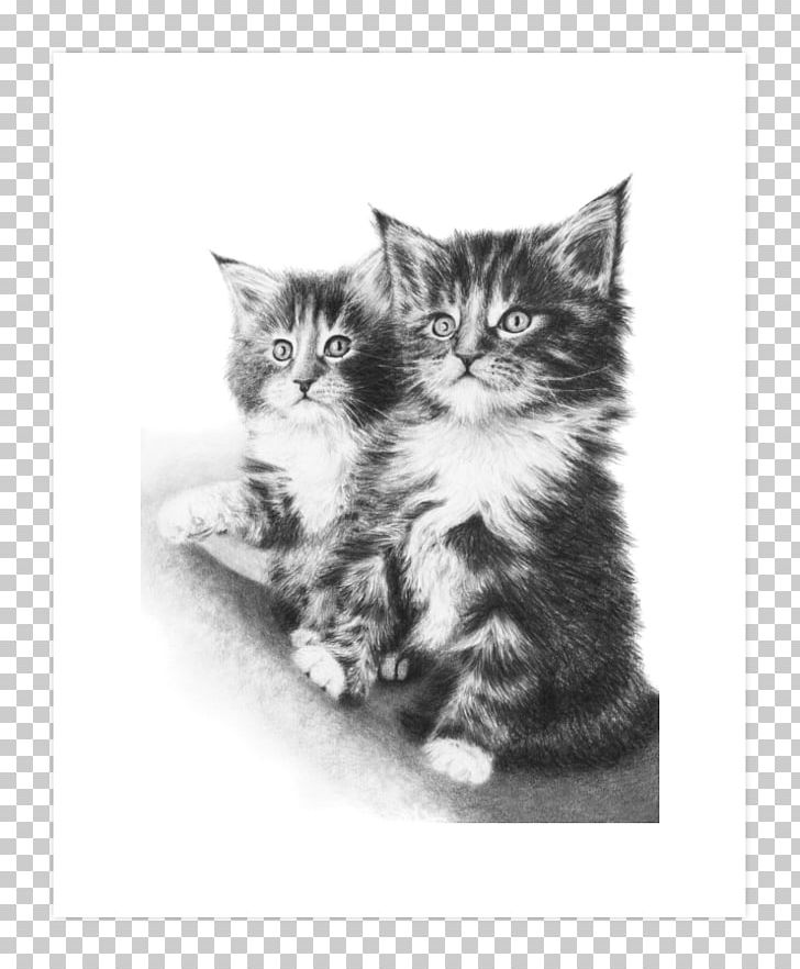 Maine Coon Kitten Whiskers Drawing Domestic Short-haired Cat PNG, Clipart, Animals, Art, Artist, Art Print, Black And White Free PNG Download