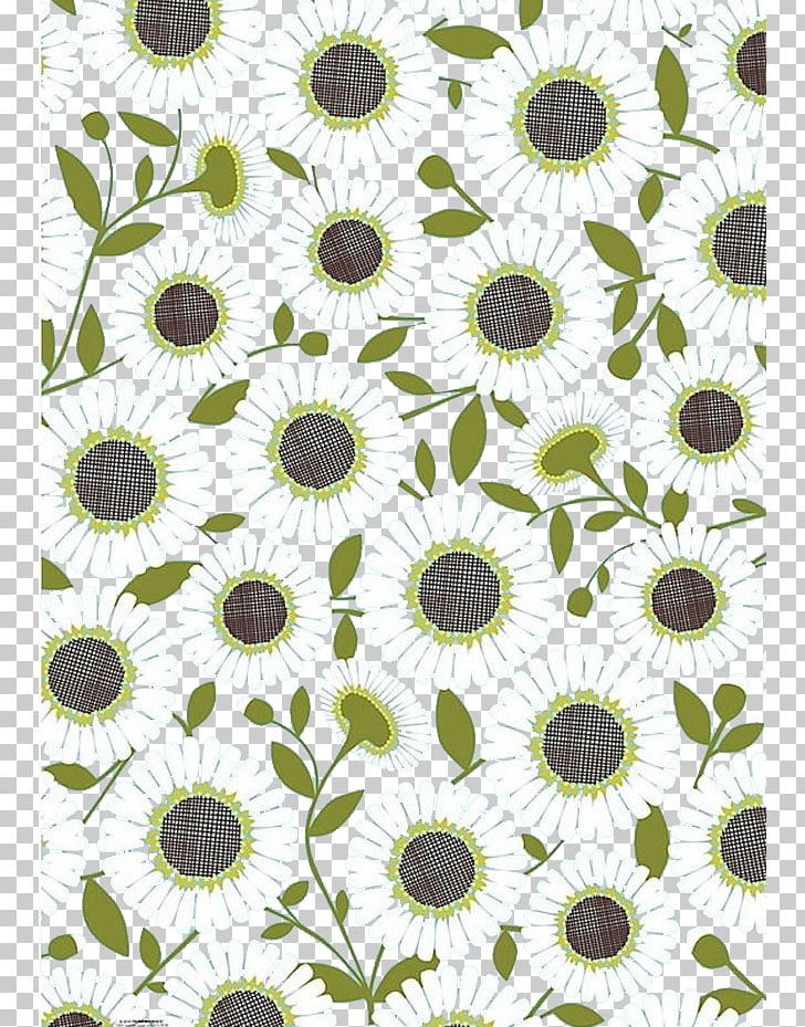 Common Sunflower PNG, Clipart, Background, Chrysanths, Creative, Creative Background, Dahlia Free PNG Download