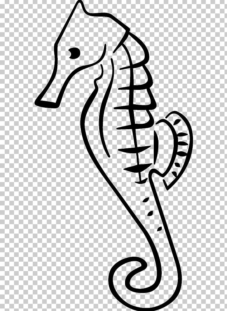 Seahorse PNG, Clipart, Animal, Animals, Artwork, Black And White, Cartoon Free PNG Download