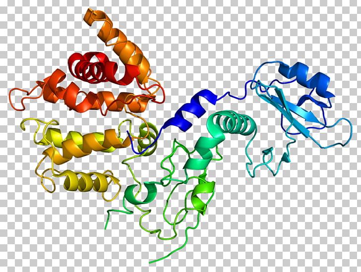 Chimerin 2 Chimerin 1 Protein Rac PNG, Clipart, Area, Chimerin, Chromosome 6, Diglyceride, Gene Free PNG Download
