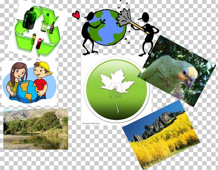 Conservation Movement Natural Environment Ecology PNG, Clipart, Biotic Component, Brand, Collage, Conservation, Conservation Movement Free PNG Download