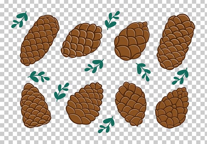 Conifer Cone Pine Tree PNG, Clipart, Cedar, Commodity, Computer Icons, Conifer Cone, Conifers Free PNG Download