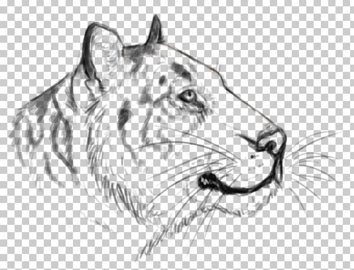 Whiskers Tiger Cat Roar Sketch PNG, Clipart, Animals, Artwork, Big Cats, Black And White, Carnivoran Free PNG Download