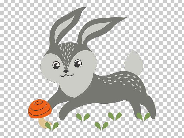 Domestic Rabbit Hare European Rabbit Infant PNG, Clipart, Animal, Animals, Canidae, Carnivoran, Color Free PNG Download