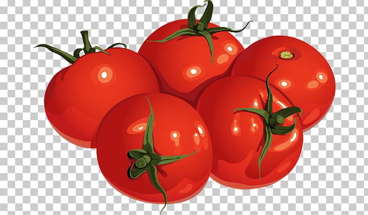 Plum Tomato Bush Tomato Food PNG, Clipart, Apple, Bell Pepper, Bell Peppers And Chili Peppers, Bush Tomato, Capsicum Annuum Free PNG Download
