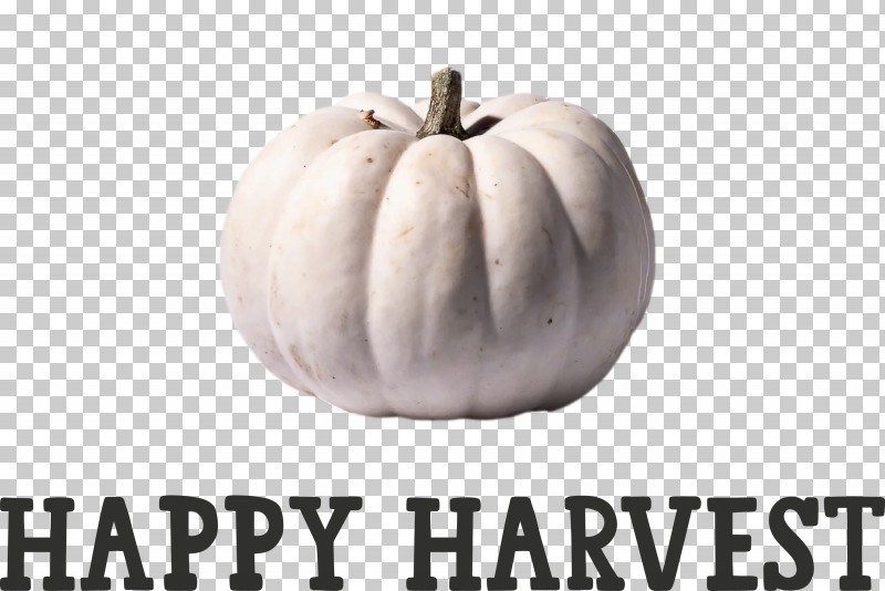 Happy Harvest Harvest Time PNG, Clipart, Calabaza, Happy Harvest, Harvest Time, Meter, Squash Free PNG Download