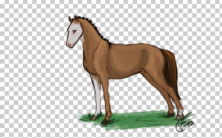 Foal Mustang Stallion Mare Colt PNG, Clipart, Alpha And Omega, Bridle, Colt, Foal, Grass Free PNG Download