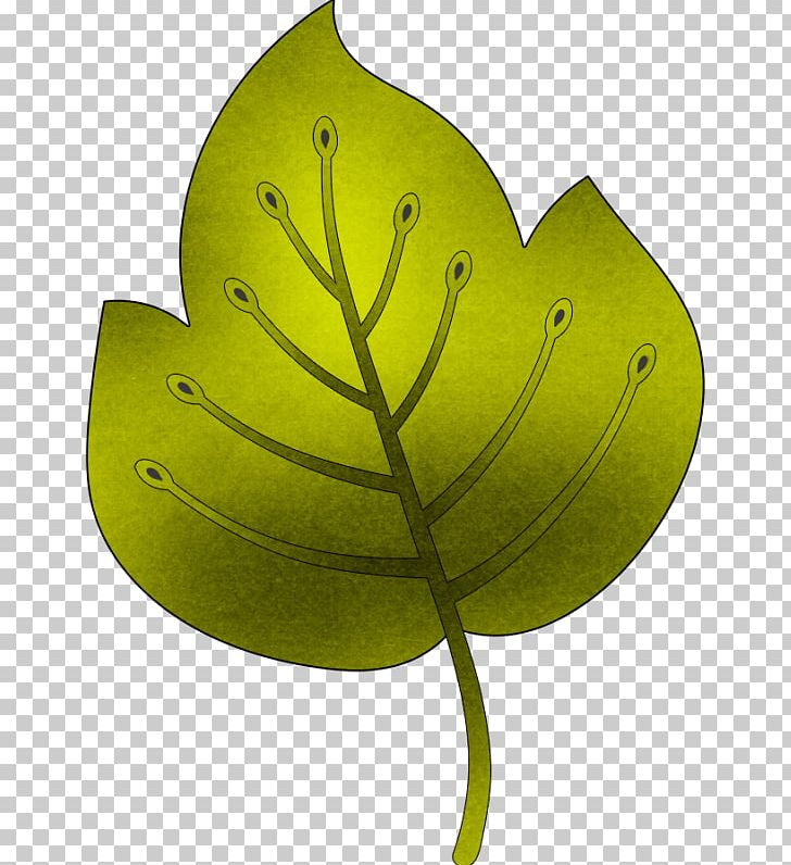 Leaf Product Design Plant Stem PNG, Clipart, Leaf, Plant, Plant Stem Free PNG Download