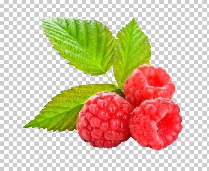 Organic Food Red Raspberry Juice PNG, Clipart, Berry, Food, Freezedrying, Fruit, Fruit Nut Free PNG Download