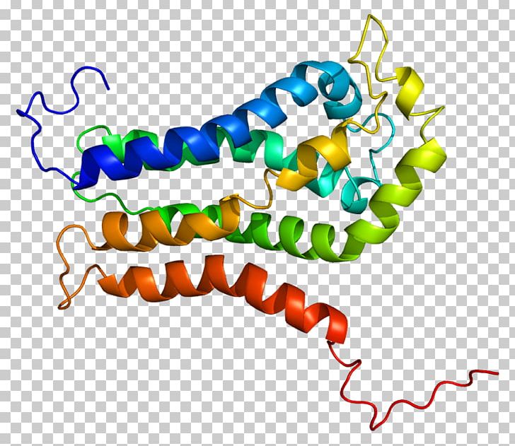 Protein Guanine Nucleotide Exchange Factor Rho Family Of GTPases ARHGEF7 PNG, Clipart, Area, Artwork, Body Jewelry, Gef, Gene Free PNG Download