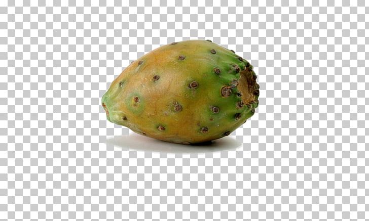 Barbary Fig Common Fig Opuntia Cochenillifera Embryophyta Cactaceae PNG, Clipart, America, Apple Fruit, Auglis, Barbary Fig, Cactus Free PNG Download