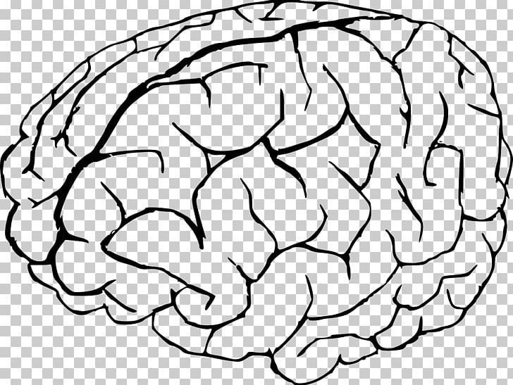 Drawing Brain Line Art PNG, Clipart, Area, Art, Black And White, Brain, Circle Free PNG Download