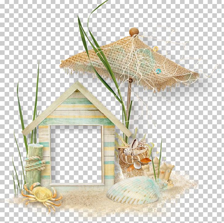Frame Photography PNG, Clipart, American, Beach Elements, Beach Party, Decorative Elements, Design Element Free PNG Download