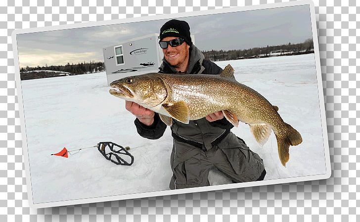 Ice Fishing Fly Fishing Walleye Fishing House PNG, Clipart, Bass, Campervans, Cod, Cottage, Fish Free PNG Download