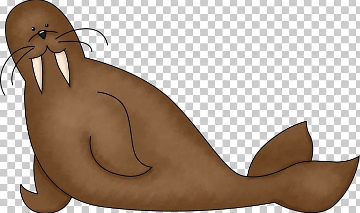 Walrus Free Content PNG, Clipart, Cartoon, Drawing, Fauna, Finger, Free Content Free PNG Download