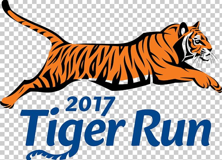 Newport Mill Middle School Buck Lodge Middle School Tiger Run 2017 PNG, Clipart, Animals, Area, Artwork, Big Cats, Carnivora Free PNG Download