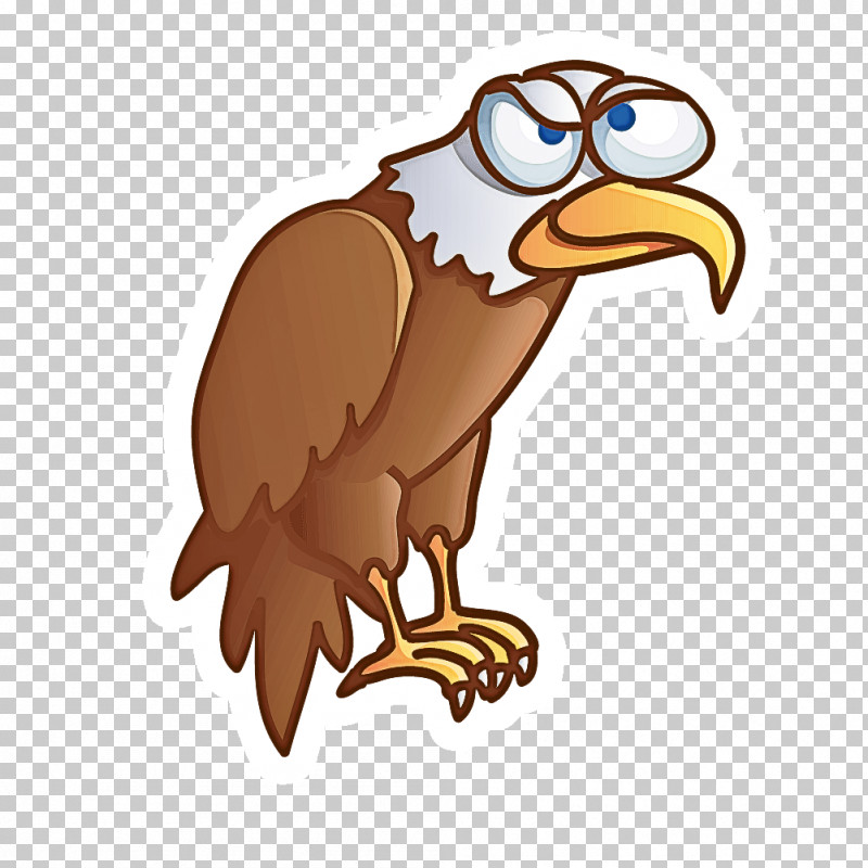 Bird Bald Eagle Bird Of Prey Eagle Beak PNG, Clipart, Accipitridae, Andean Condor, Bald Eagle, Beak, Bird Free PNG Download