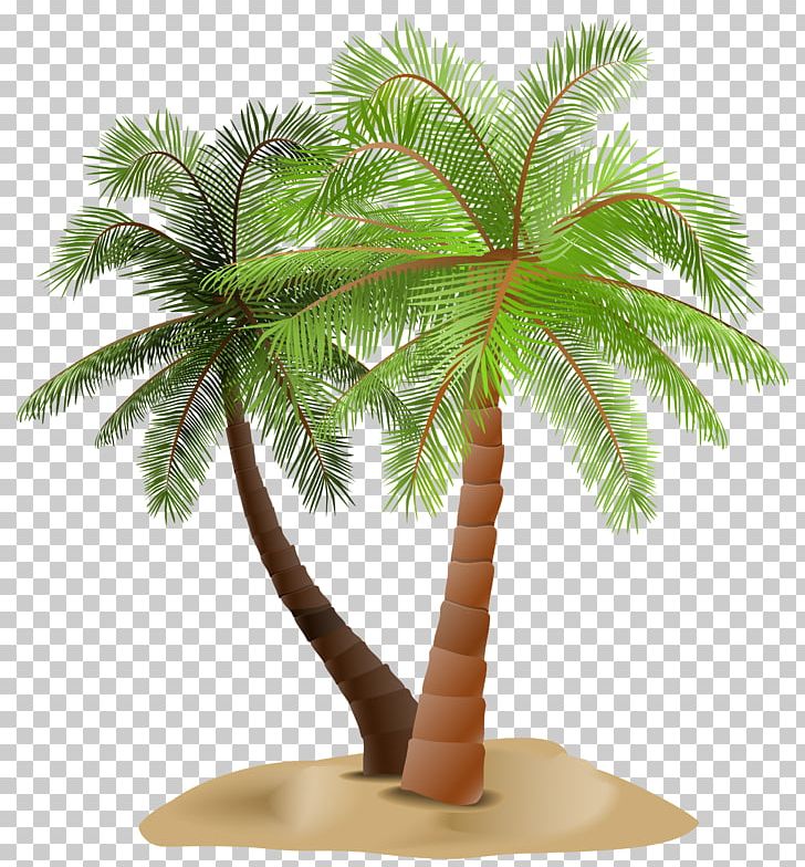 Arecaceae Tree PNG, Clipart, Arecaceae, Arecales, Borassus Flabellifer, Clip Art, Coconut Free PNG Download
