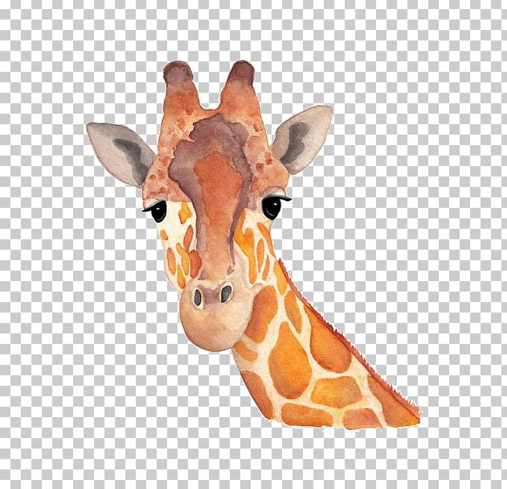 Northern Giraffe Watercolor Painting Art Drawing PNG, Clipart, Animal, Animals, Color, Drawing, Eyelashes Free PNG Download
