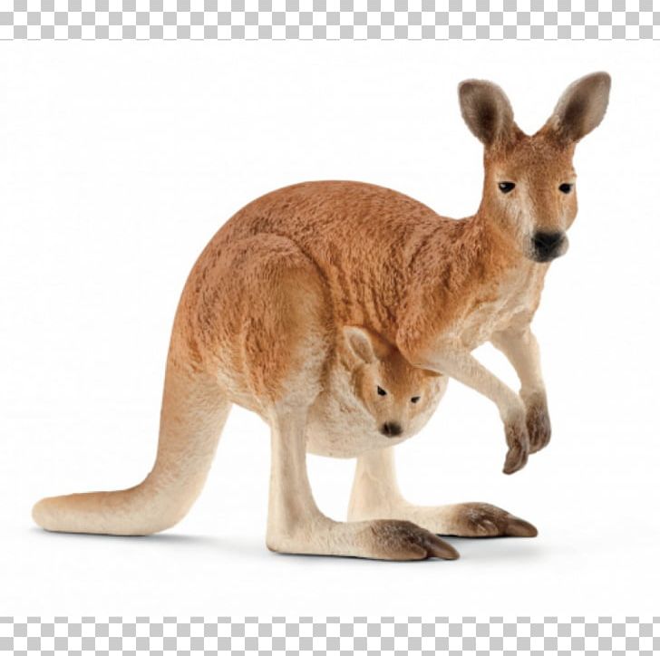 Schleich Gr Action & Toy Figures Kangaroo PNG, Clipart, Action, Action Toy Figures, Amp, Animal Figure, Animal Figurine Free PNG Download