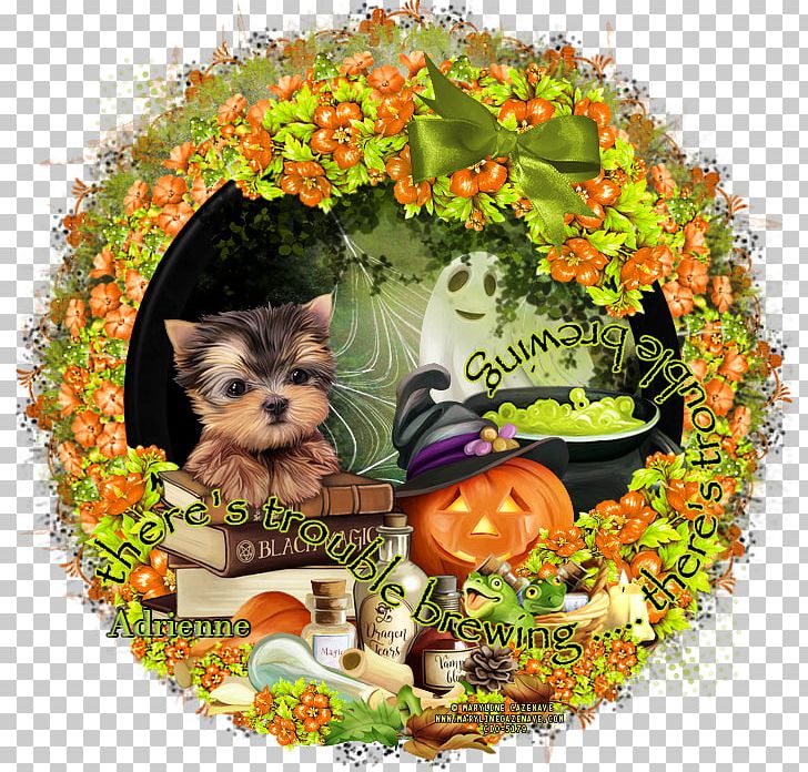 Yorkshire Terrier Puppy Dog Breed Secrets PNG, Clipart, 2017, Animals, Beauty Parlour, Breed, Carnivoran Free PNG Download