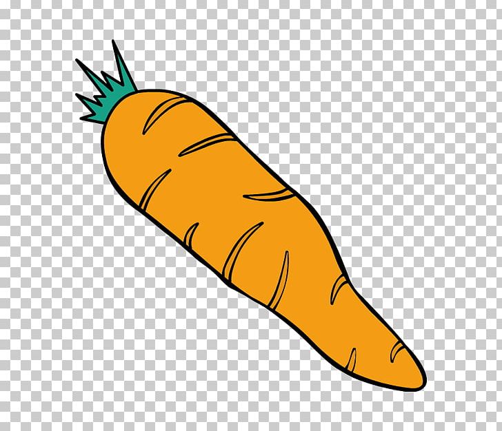 Carrot Drawing PNG, Clipart, Artwork, Beak, Carrot, Download, Drawing Free PNG Download