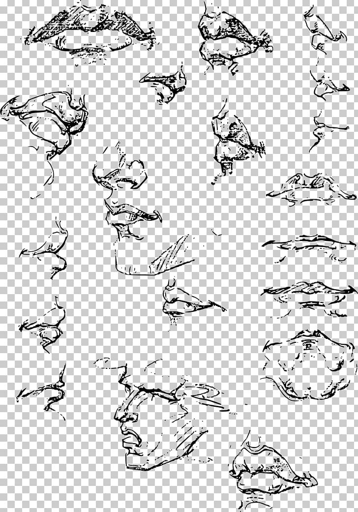 Constructive Anatomy Drawing Sketch PNG, Clipart, Anatomy, Angle, Area, Art, Artist Free PNG Download