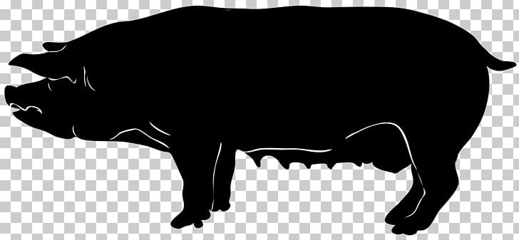 Domestic Pig Silhouette PNG, Clipart, Bison, Black, Black And White, Bull, Cattle Like Mammal Free PNG Download