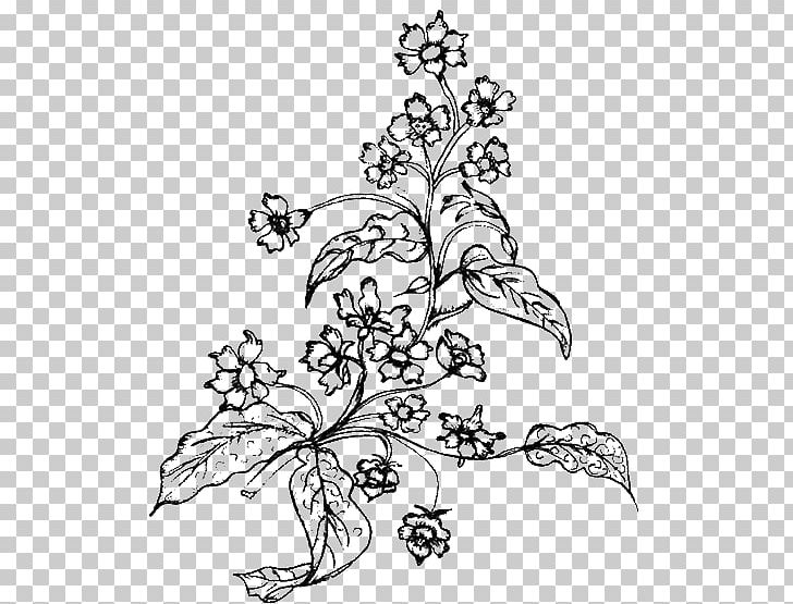 Flower Drawing Watercolor Painting Black And White PNG, Clipart, 80 20, Area, Art, Black, Black And White Free PNG Download