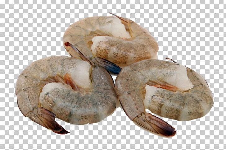 Giant Tiger Prawn Litopenaeus Setiferus Japanese Cuisine Tempura Shrimp PNG, Clipart, Animals, Animal Source Foods, Caridean Shrimp, Decapoda, Food Free PNG Download