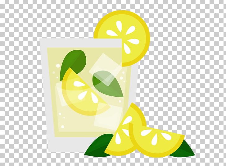 Lemon Fizz Lime Citric Acid PNG, Clipart, Acid, Bourbon Whiskey, Citric Acid, Citrus, Fizz Free PNG Download