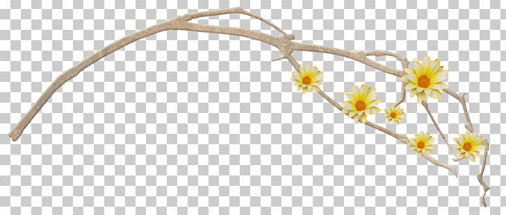 Cut Flowers Branch Twig Plant Stem PNG, Clipart, Body Jewellery, Body Jewelry, Branch, Cut Flowers, Flower Free PNG Download