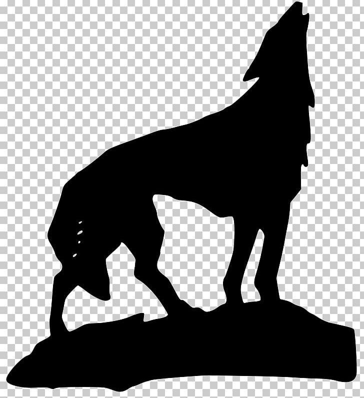 Gray Wolf Coyote Aullido PNG, Clipart, Aullido, Black, Black And White, Carnivoran, Coyote Free PNG Download