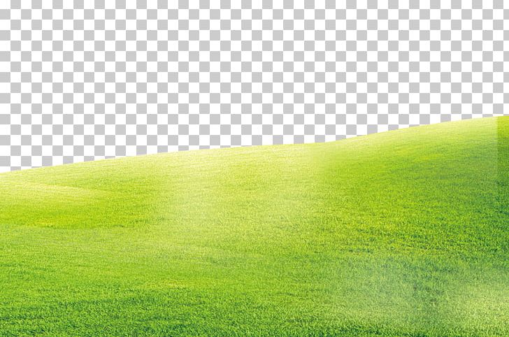 grass background