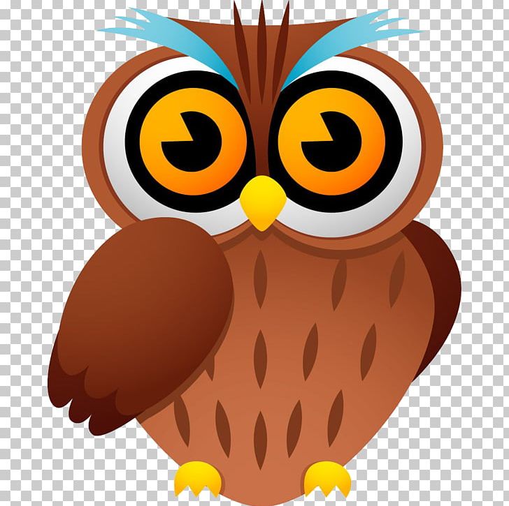 Owl Bird Cartoon Drawing Png Clipart Animal Animals Art Barn