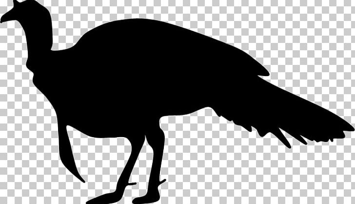 Turkey Hunting PNG, Clipart, Artwork, Beak, Bird, Black And White, Domesticated Turkey Free PNG Download