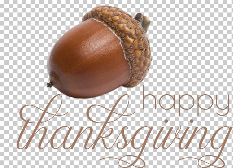 Happy Thanksgiving Thanksgiving Day Thanksgiving PNG, Clipart, Acorn, Happy Thanksgiving, Ingredient, Meter, Nut Free PNG Download