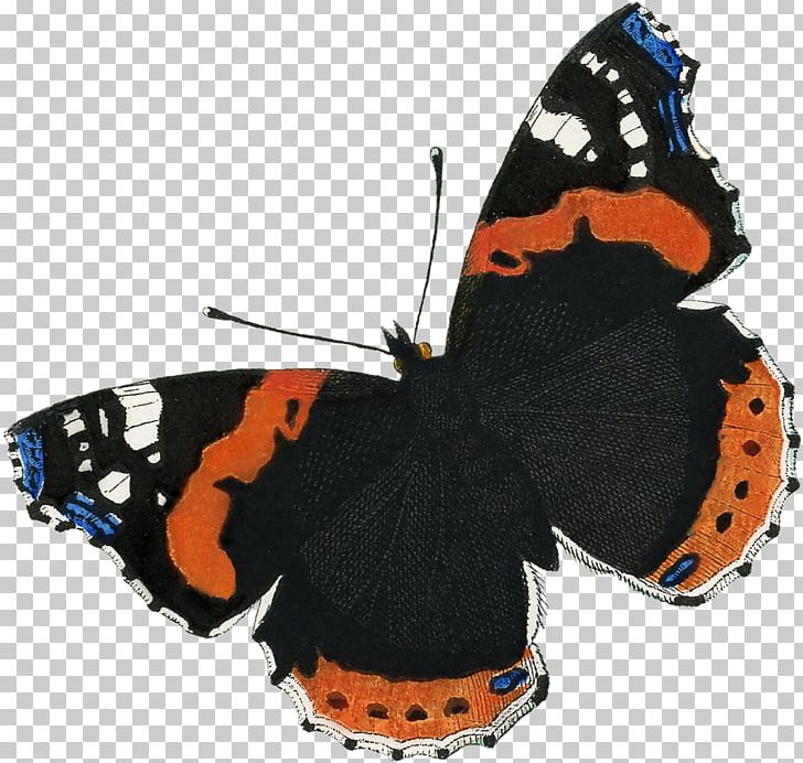 Monarch Butterfly Insect Nymphalidae Pollinator PNG, Clipart, Album, Animal, Arthropod, Brush Footed Butterfly, Butterflies And Moths Free PNG Download