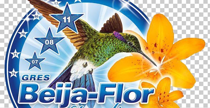 Carnival In Rio De Janeiro Beija-Flor Samba School PNG, Clipart, Advertising, Beijaflor, Beija Flor, Carnival, Carnival In Rio De Janeiro Free PNG Download