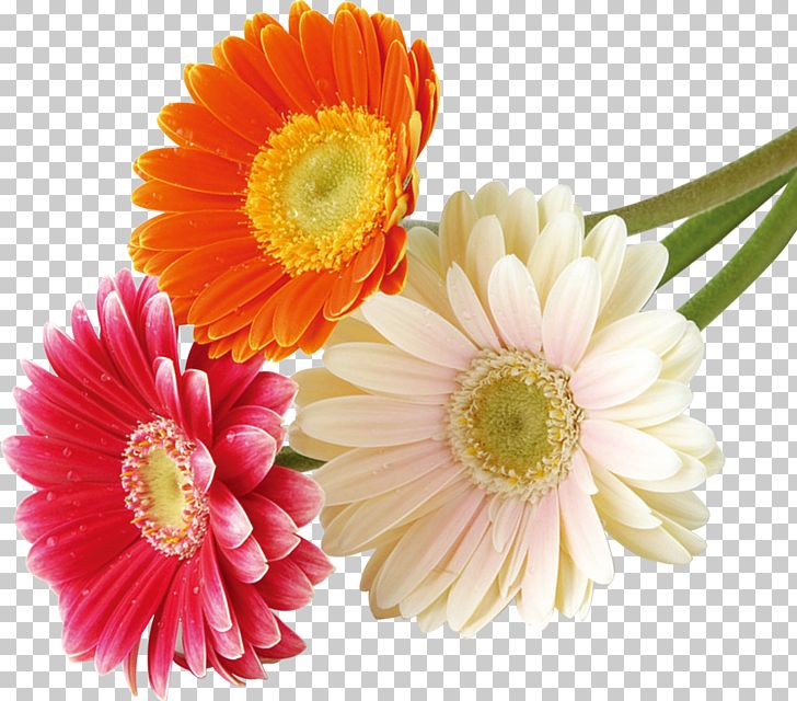 Flower Bouquet Nosegay PNG, Clipart, Annual Plant, Bouquet, Chrysanthemum, Chrysanths, Cut Flowers Free PNG Download