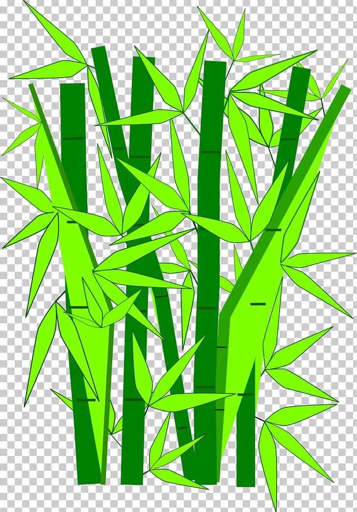 Giant Panda Bamboo PNG, Clipart, Background Green, Bamboe, Bamboo, Bamboo Painting, Commodity Free PNG Download