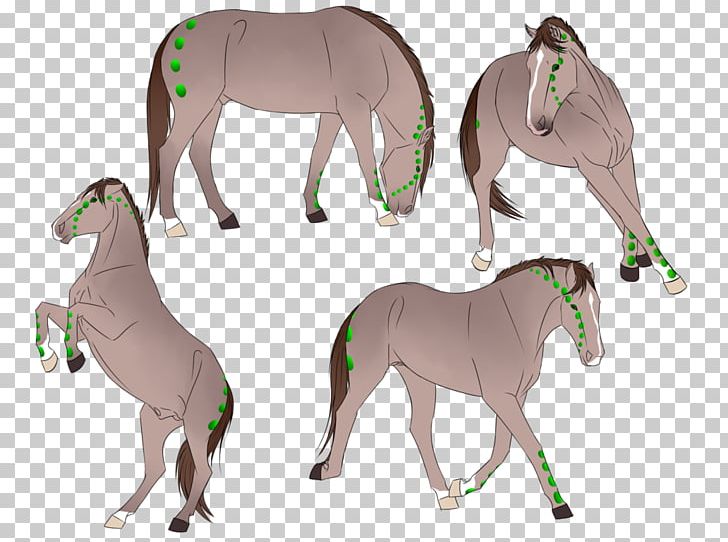 Mane Foal Stallion Mare Mustang PNG, Clipart, Animal Figure, Bridle, Character, Colt, Donkey Free PNG Download