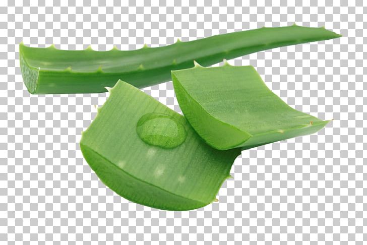 Aloe Vera Lotion Skin Gel Asphodelaceae PNG, Clipart, Acne, Agave, Aloe, Aloe Vera, Asphodelaceae Free PNG Download