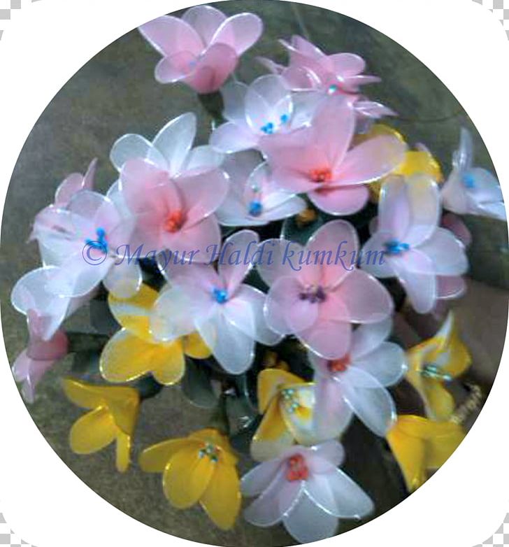 Flowering Plant PNG, Clipart, Flower, Flowering Plant, Haldi Kumkum, Petal, Plant Free PNG Download