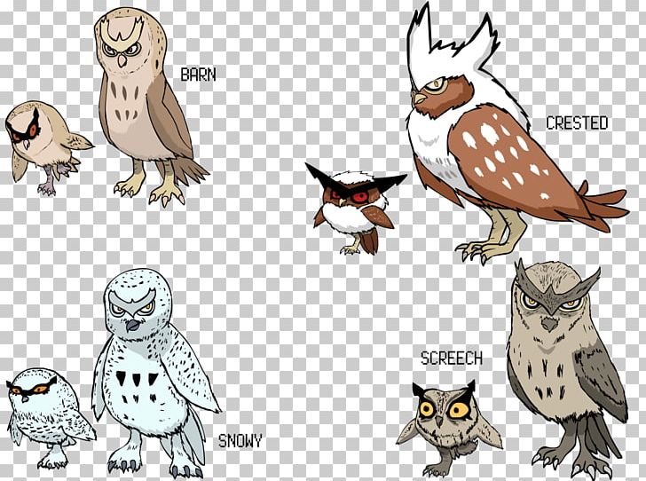 Línia Evolutiva De Hoothoot Noctowl Pokémon Pen PNG, Clipart, Animal Figure, Beak, Bird, Bird Of Prey, Cartoon Free PNG Download