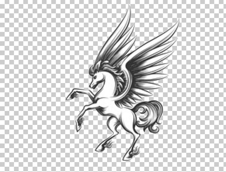 Pegasus Graphics Drawing Sketch PNG, Clipart, Beak, Bird, Bird Of Prey, Black And White, Chicken Free PNG Download