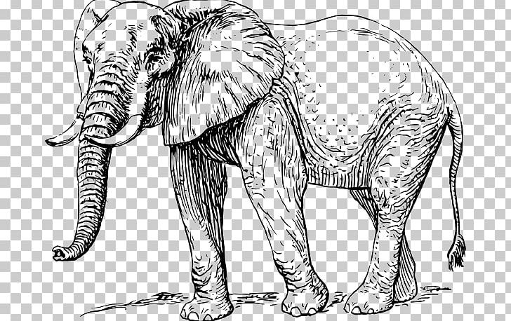 African Elephant Elephantidae Drawing PNG, Clipart, African Elephant, Animal Figure, Art, Asian Elephant, Big Cats Free PNG Download